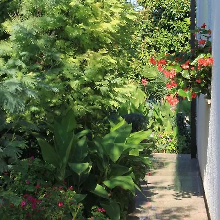 Apartamento With Parking Space - 7171 *