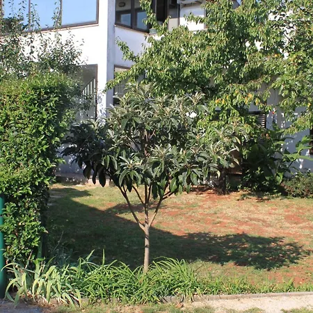 דירה With Parking Space - 7171 אומאג