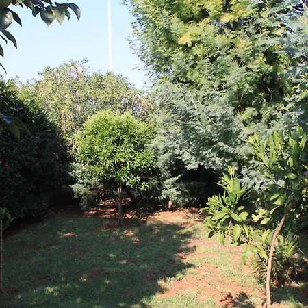 With Parking Space - 7171