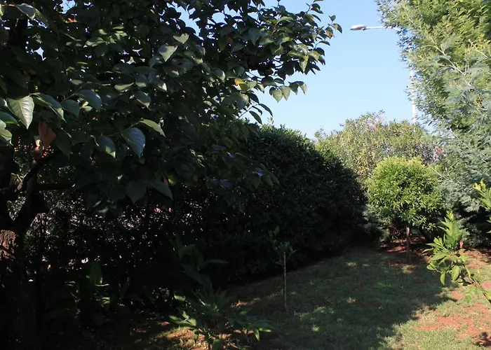 דירה With Parking Space - 7171