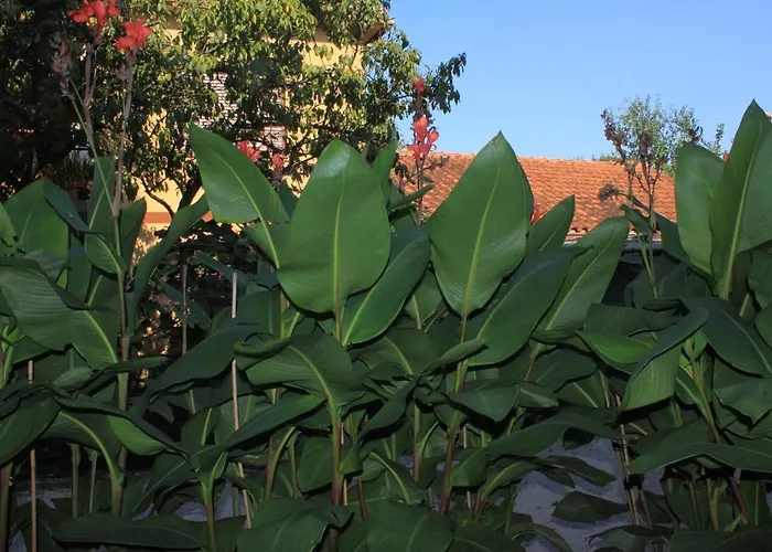 With Parking Space - 7171 * אומאג