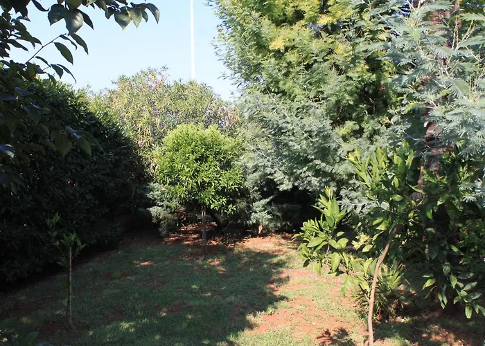 With Parking Space - 7171