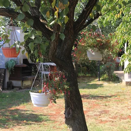 With Parking Space - 7171 Appartamento